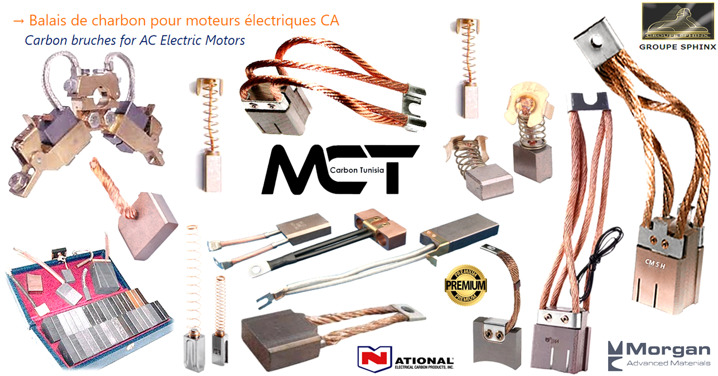 Image du produit Balais de charbon pour moteur à CA